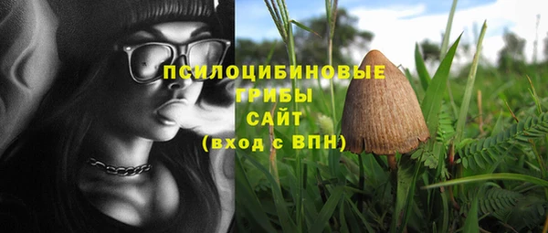 прущая мука Абаза
