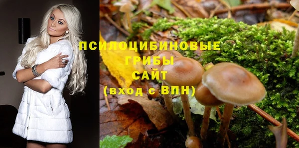 прущая мука Абаза