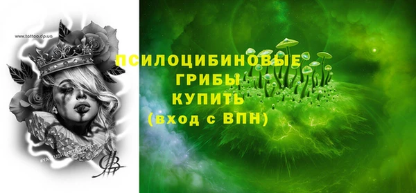 PSILOCYBIN Абдулино