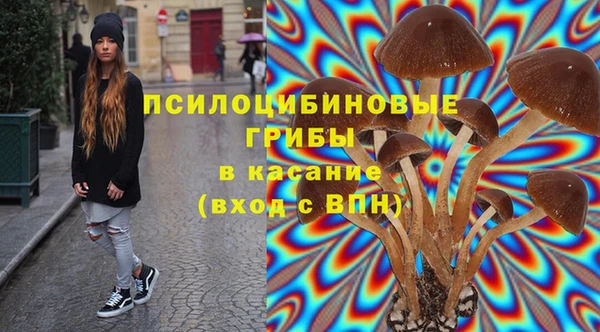 прущая мука Абаза